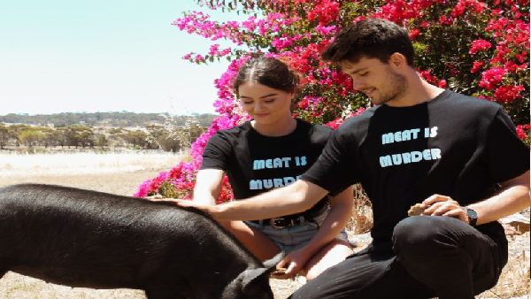 इंस्टाग्राम पर शेयर किया प्रदर्शन का वीडियो इंस्टाग्राम पर शेयर किया प्रदर्शन का वीडियो