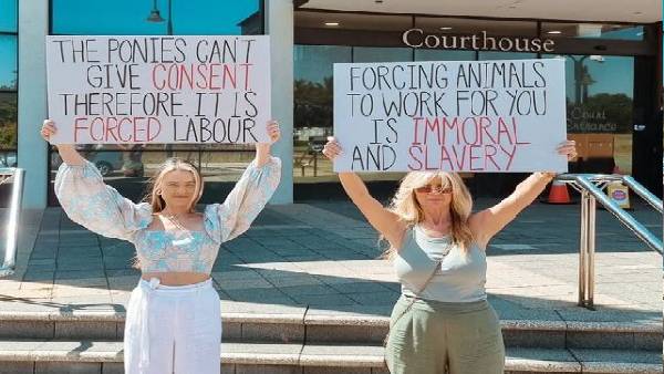 दिसंबर 2020 के एक मामले की कोर्ट में चल रही सुनवाई दिसंबर 2020 के एक मामले की कोर्ट में चल रही सुनवाई