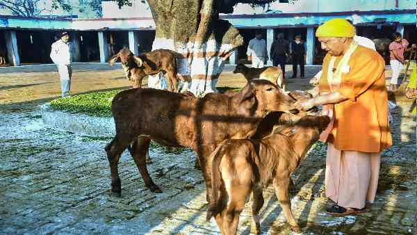पहले नोएडा आने वाले मुख्यमंत्रियों के साथ क्या हुआ ?