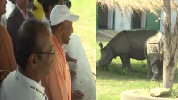 Yogi Adityanath visited gorakhpur zoo on holi to welcome rhinos Har and Gauri Yogi Adityanath visited gorakhpur zoo on holi to welcome rhinos Har and Gauri