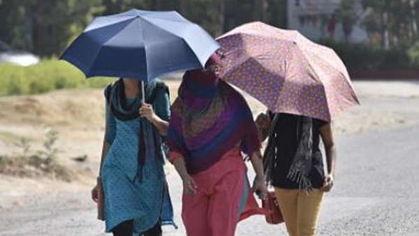 पूरा छत्तीसगढ़ गर्मी की चपेट में ,जंगलो में भी नहीं राहत 