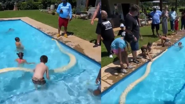 स्वीमिंग पूल में बच्चों के साथ अजगर स्वीमिंग पूल में बच्चों के साथ अजगर