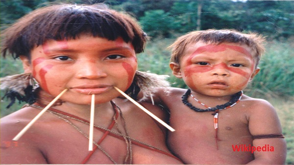  क्या है एंडो-केनिबलवाद