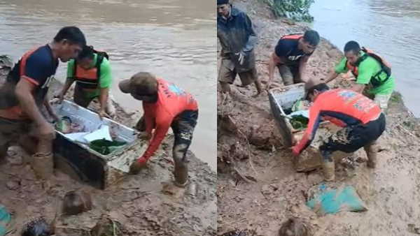 होश में था 11 साल का सीजे