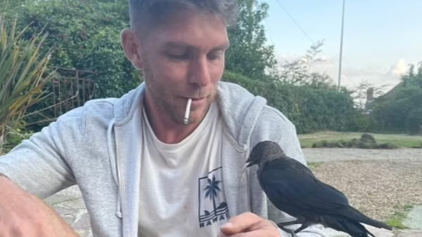 सिगरेट का आदी कौए ने शख्स से की दोस्ती