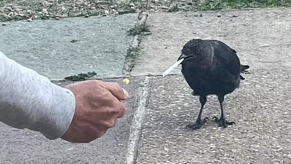 मुंह से छीन कर पी लेते था सिगरेट