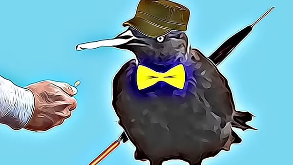 पीट के पास हैं कौए की 6000 फोटो