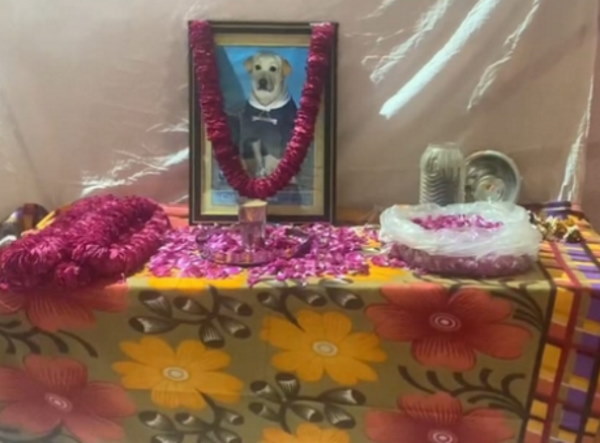 3 महीने पहले कैप्टन बीमार हो गया