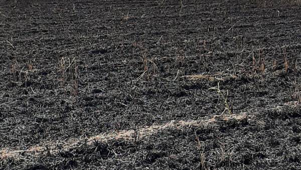 कई किसानों की मेहनत हुई खाक