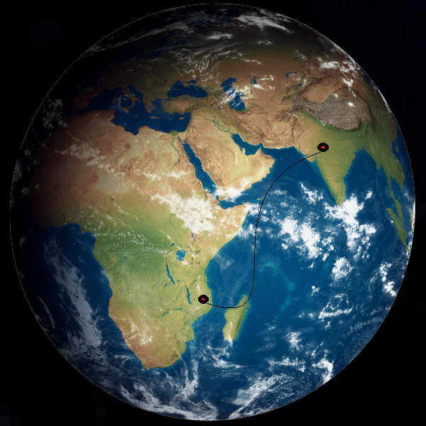 A indian lost life in African country of Tanzania, He had left haryana for America 7 months ago