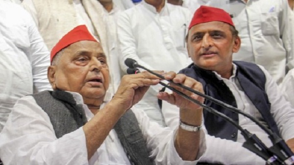 निर्दलीय प्रत्याशी जीतने के पीछे क्या था राज 