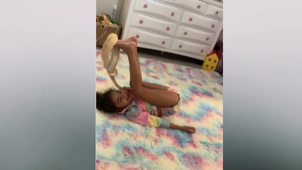 नुकसान नहीं पहुंचाते जानवर