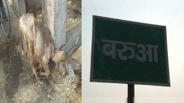 पानी में फ्लोराइड होने की वजह से बढ़ रही बीमारी