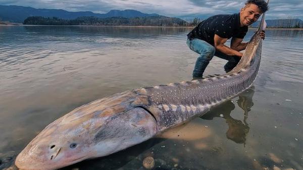 कायकिंग का था प्लान