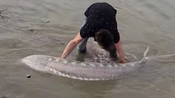 25 मिनट बाद आई नजर