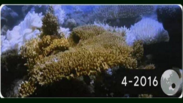 गूगल ने डूडल के जरिए बताए प्रभाव गूगल ने डूडल के जरिए बताए प्रभाव