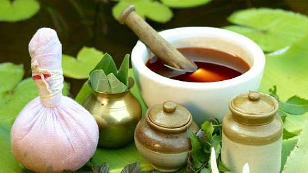 मोटी कमाई का जरिया बनेगी औषधीय खेती