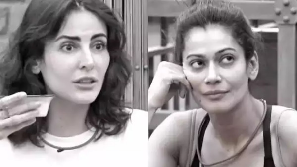 मंदाना ने पायल को अरबी में कहे अपशब्द!