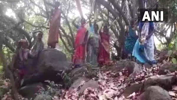 आंध्र आंध्र