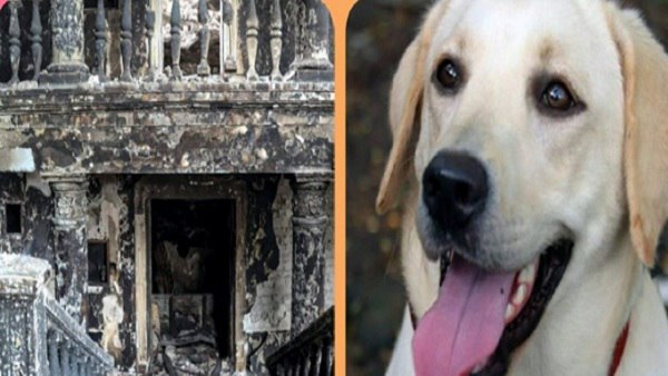 सोशल मीडिया पर तस्वीर वायरल