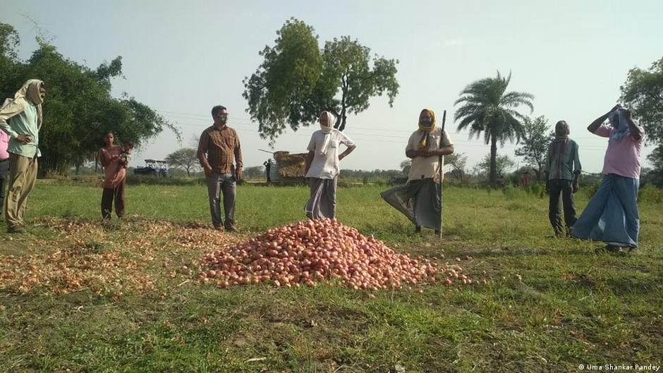 हरियाली वापस आने से किसानों का भी फायदा हुआ है
