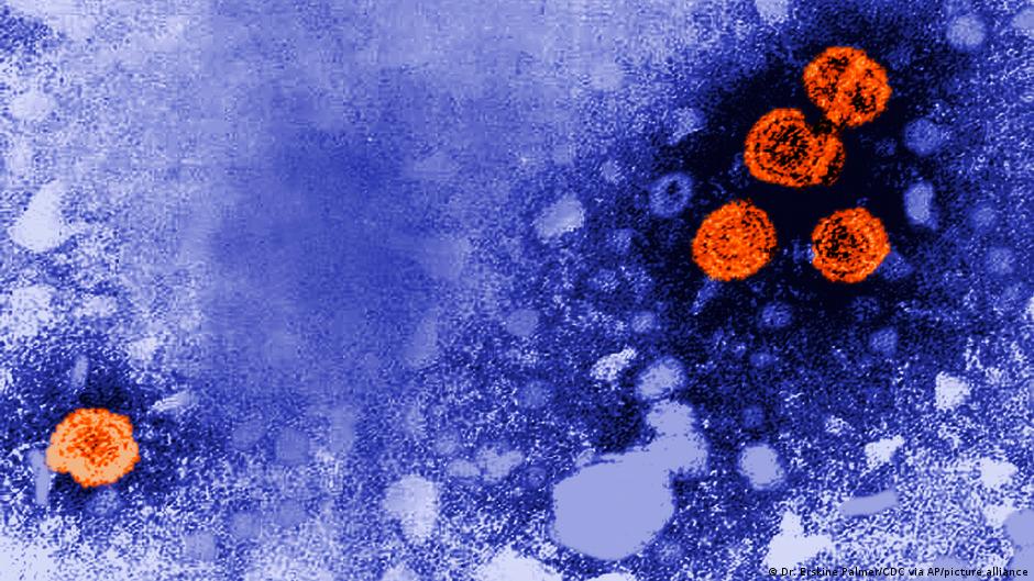 हिपेटाइटिस बी वायरस की माइक्रोस्कोप से ली गई तस्वीर