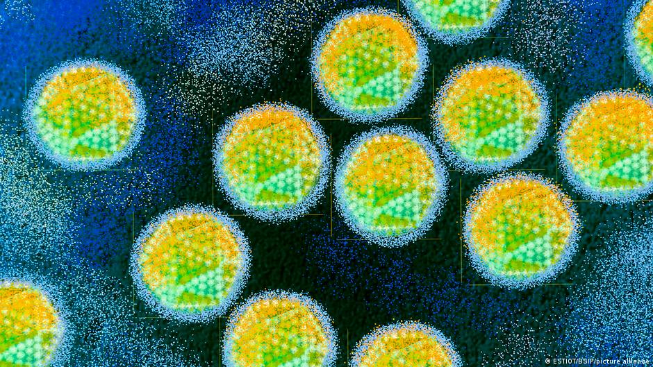 अडीनोवायरस पर घूम रही है शक की सूई