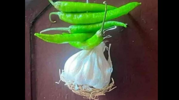 मिर्चों के साथ नींबू की जगह लहसुन