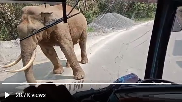 यह ड्राइवर वाकई हिम्मत वाला है यह ड्राइवर वाकई हिम्मत वाला है