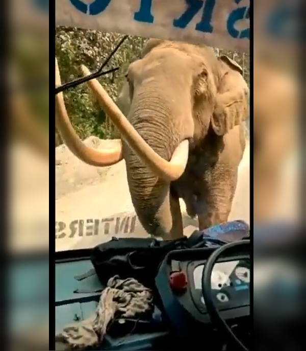 केरल की है यह घटना केरल की है यह घटना