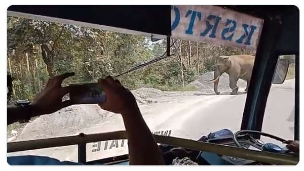 हजारों लोग देख चुके वीडियो हजारों लोग देख चुके वीडियो