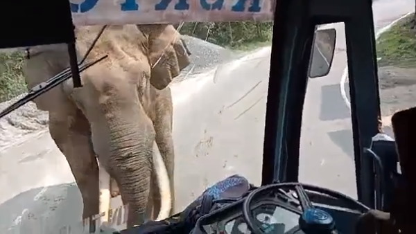 बस वाले के शांत स्वभाव की तारीफ बस वाले के शांत स्वभाव की तारीफ