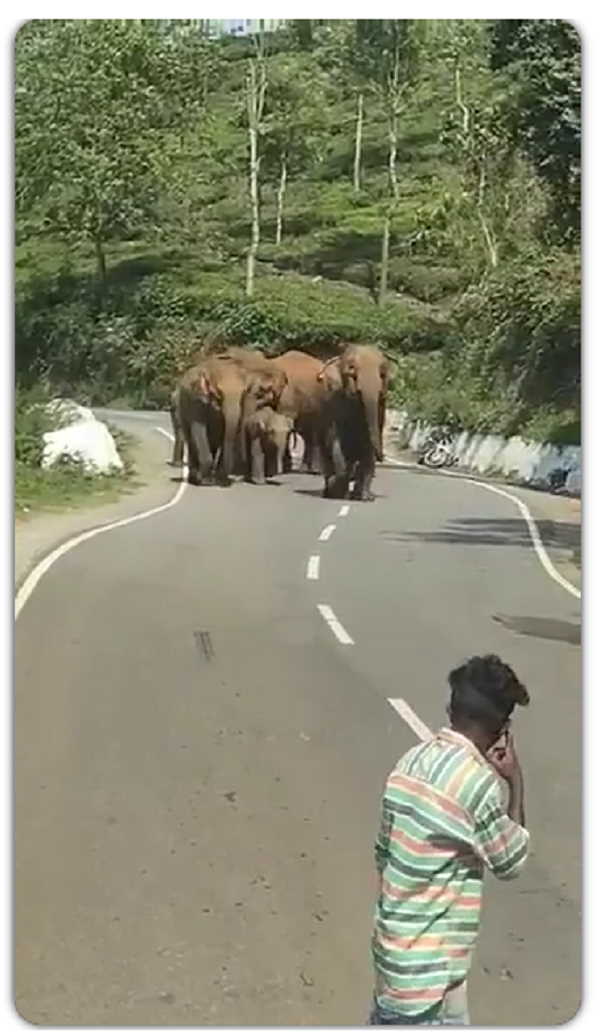 सेल्फी लेने की कोशिश कर रहे थे लड़के