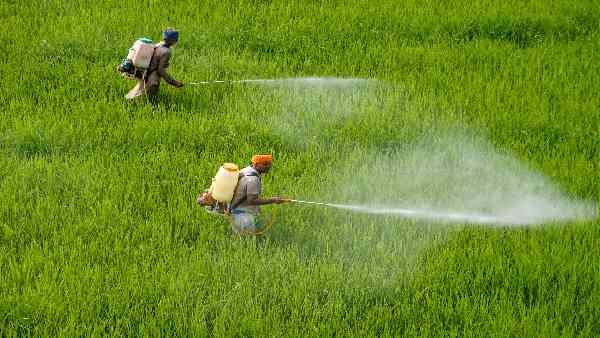 खाद सब्सिडी का बोझ हो सकता है 2 लाख करोड़ रुपये के पार