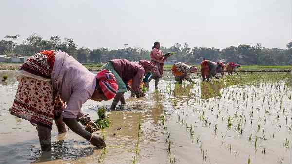 गैस की अंतरराष्ट्रीय कीमतों में 40% तक उछाल