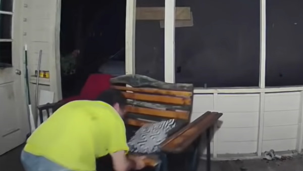 फ्लोरिडा में कुत्तों को बचाने के लिए भालू से भिड़ गया था मालिक