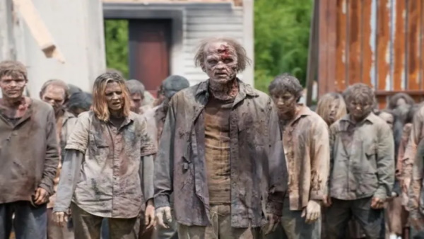 जानवर अजीबोगरीब हरकतें करने लगते हैं जानवर अजीबोगरीब हरकतें करने लगते हैं