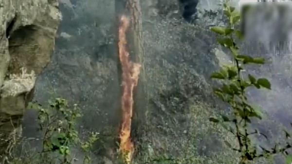 WATCH Video: Fire in forest area of Udhampur jammu and Kashmir