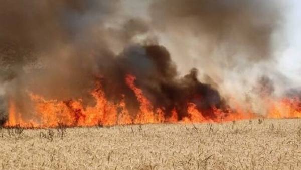 एक चिंगारी से अन्नदाता का पीला सोना तबाह 