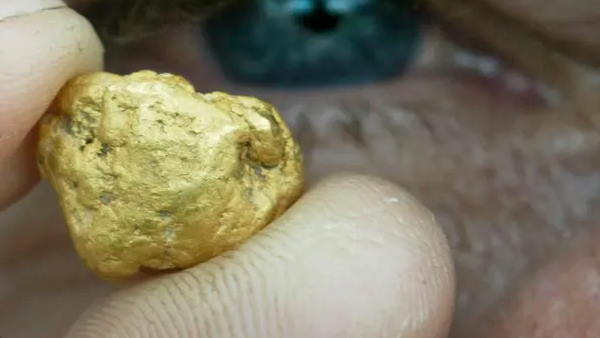 गुप्तांग में ही लाते हैं ज्यादातर लोग गुप्तांग में ही लाते हैं ज्यादातर लोग