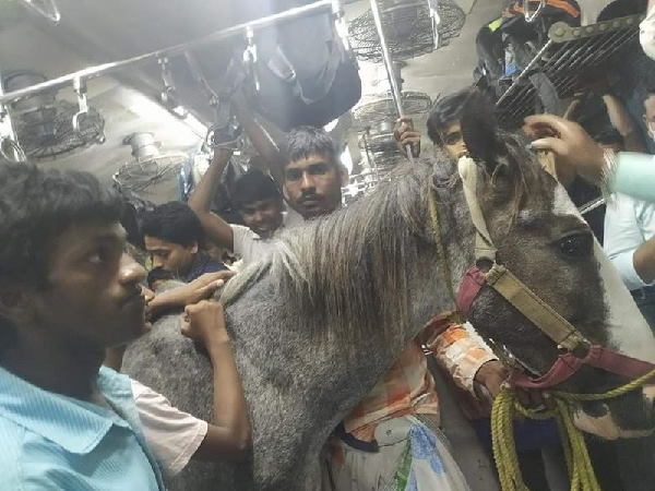 रेलवे ने दिए जांच के आदेश रेलवे ने दिए जांच के आदेश