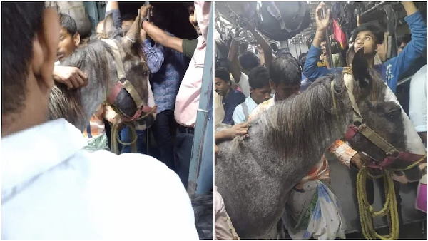 बंगाल में अक्सर होता है ऐसा बंगाल में अक्सर होता है ऐसा