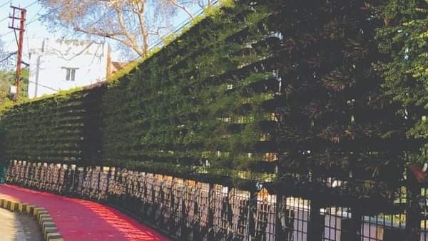 कई चौराहों और दीवारों पर उकेरी कलाकृति