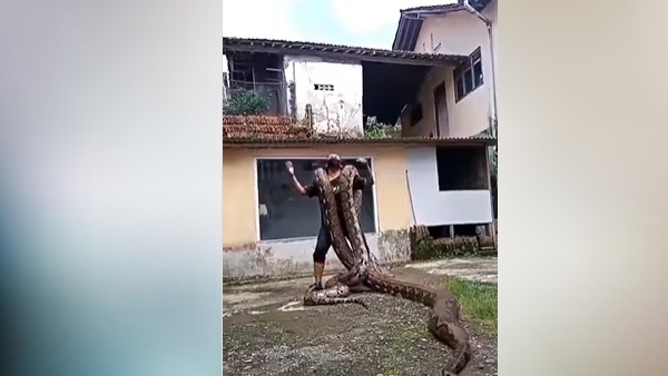 सांप से जुड़े पेज पर किया शेयर
