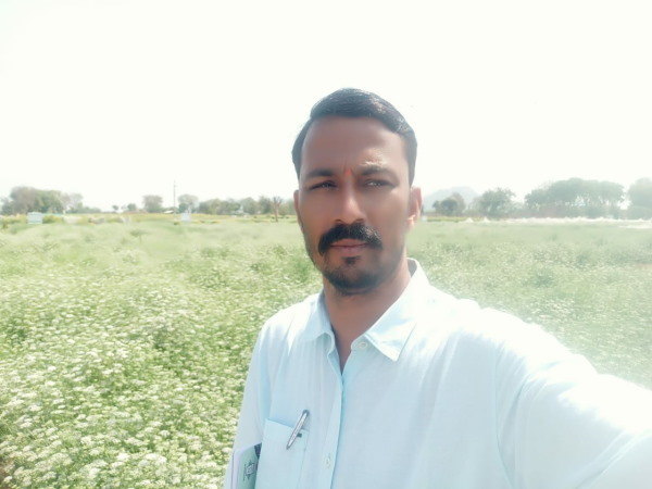 लाल भिंडी में एंटी आक्सीडेंट होती