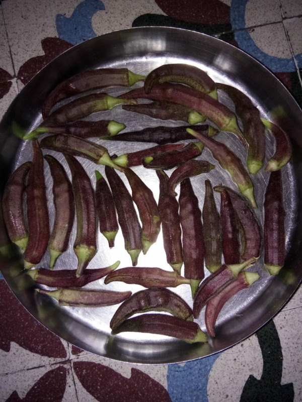 लाल भिंडी बाजार में नहीं बेची