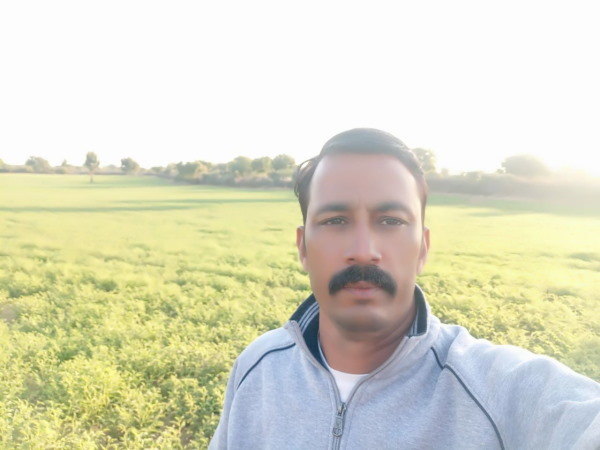 लाल भिंडी के बीज 4500 रुपए किलोग्राम 