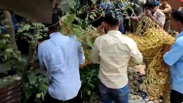 व्यक्ति ने पेड़ पर चढ़कर उतारा नीचे