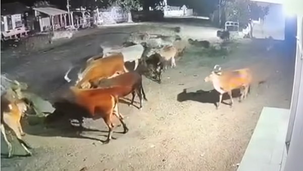 कांग्रेस कर रही विरोध, आखिर क्यों ?