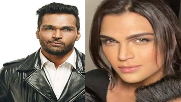 सेलिब्रिटी डिजाइनर हैं सायशा